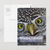 Niedliches Owl-Gesicht Postkarte (Vorne/Hinten)