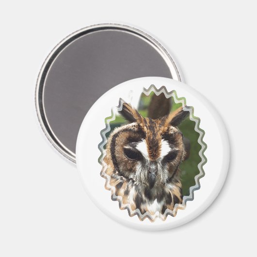NIEDLICHES OWL MAGNET (Vorderseite/Rückseite)