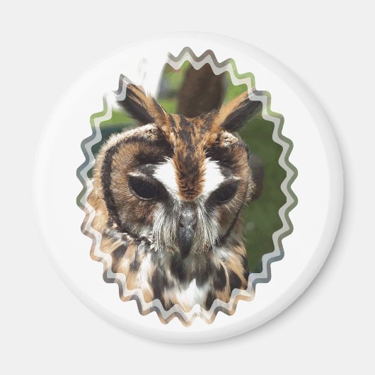 NIEDLICHES OWL MAGNET (Vorne)