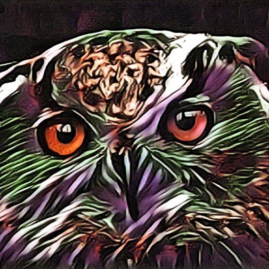 NIEDLICHES OWL MAGNET