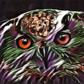 NIEDLICHES OWL MAßBAND