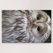 NIEDLICHES OWL PUZZLE (Horizontal)