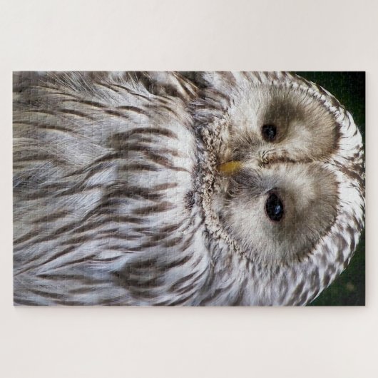 NIEDLICHES OWL PUZZLE (Horizontal)