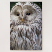 NIEDLICHES OWL PUZZLE (Vertikal)