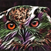 NIEDLICHES OWL TISCHTENNIS SCHLÄGER