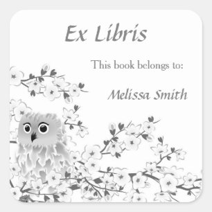 Niedliches Owl White Gray Ex Libris Name hinzufü Quadratischer Aufkleber