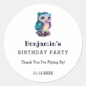 Niedliches Owl Woodland Animal Kindergeburtstag Vi Runder Aufkleber (Vorderseite)