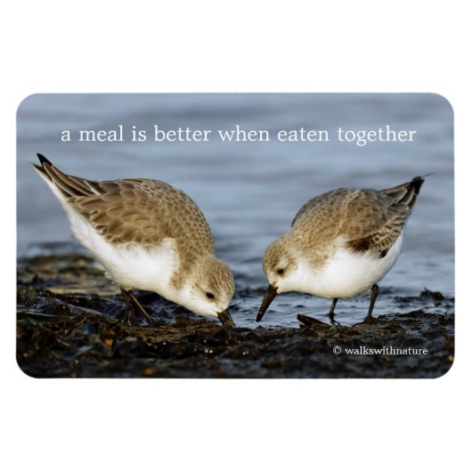 Niedliches Paar Sanderlings Sandpipers Shares a Me Magnet (Horizontal)