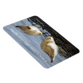 Niedliches Paar Sanderlings Sandpipers Shares a Me Magnet (Rechte Seite)