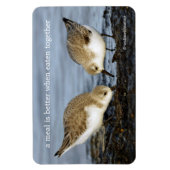 Niedliches Paar Sanderlings Sandpipers Shares a Me Magnet (Vertikal)