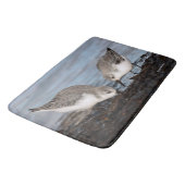 Niedliches Paar Sanderlings Shares a Seaside Meal Badematte (Schrägansicht)