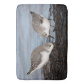 Niedliches Paar Sanderlings Shares a Seaside Meal Badematte (Vorderseite Vertikal)