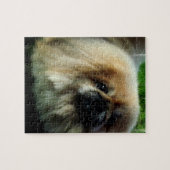 Niedliches Pekingese Puzzlespiel Puzzle (Horizontal)