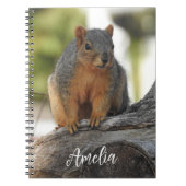 Niedliches Personalisiertes Eichhörnchen Notizblock (Vorderseite)