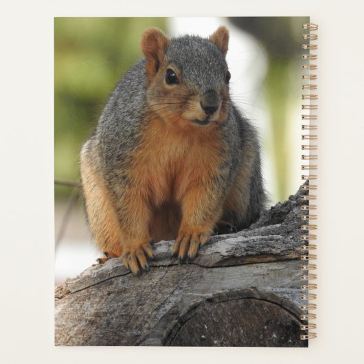 Niedliches Personalisiertes Eichhörnchen Planer (Rückseite)
