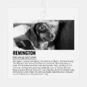 Niedliches Personalisiertes Haustier Ornament Aus Metall (Vorderseite)