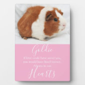 Niedliches Pet-Memorial Fotoplatte (Vorderseite)