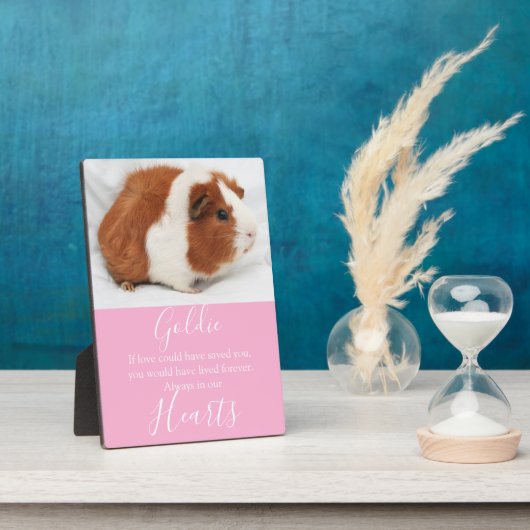 Niedliches Pet-Memorial Fotoplatte (Seite)