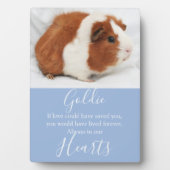 Niedliches Pet-Memorial Fotoplatte (Vorderseite)