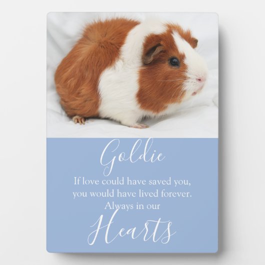 Niedliches Pet-Memorial Fotoplatte (Vorderseite)
