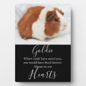 Niedliches Pet-Memorial Fotoplatte (Vorderseite)