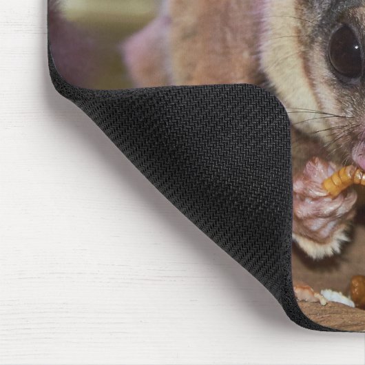 Niedliches Pet Sugar Glider Eating Mousepad (Ecke)