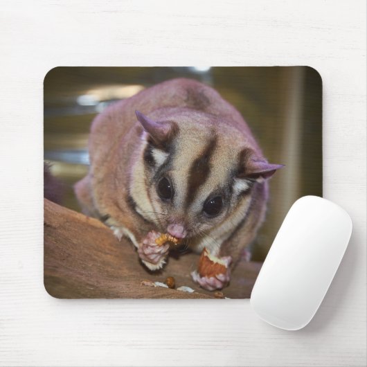 Niedliches Pet Sugar Glider Eating Mousepad (Mit Mouse)