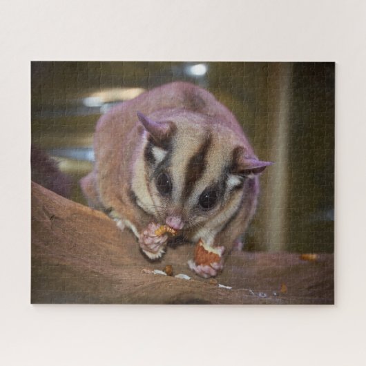 Niedliches Pet Sugar Glider Eating Puzzle (Horizontal)
