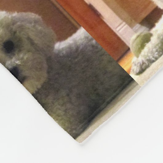 Niedliches Pet Warm Fleece Blanket (Ecke)