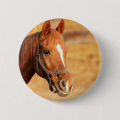 NIEDLICHES PFERD BUTTON (Vorderseite)