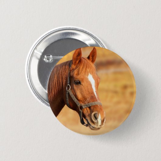 NIEDLICHES PFERD BUTTON (Vorne & Hinten)