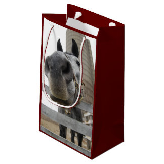 Niedliches Pferd Nah Kleine Geschenktüte