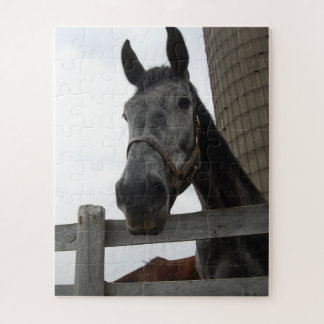 Niedliches Pferd Nah Puzzle