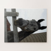 Niedliches Pferd Nah Puzzle (Horizontal)