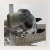 Niedliches Pferd Nah Puzzle (Horizontal)