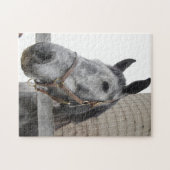 Niedliches Pferd Nah Puzzle (Horizontal)