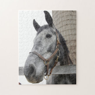 Niedliches Pferd Nah Puzzle