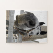 Niedliches Pferd Nah Puzzle (Horizontal)