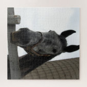 Niedliches Pferd Nah Puzzle (Horizontal)