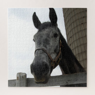 Niedliches Pferd Nah Puzzle