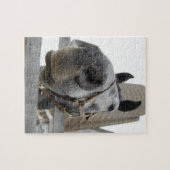 Niedliches Pferd Nah Puzzle (Horizontal)