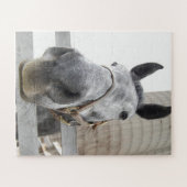 Niedliches Pferd Nah Puzzle (Horizontal)