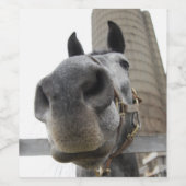 Niedliches Pferd Nah Weinetikett (Einzelnes Label)