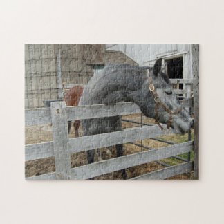 Niedliches Pferd vor einer Scheune Puzzle