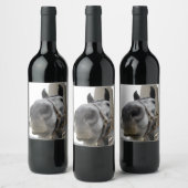 Niedliches Pferd vor einer Scheune Weinetikett (Flaschen)