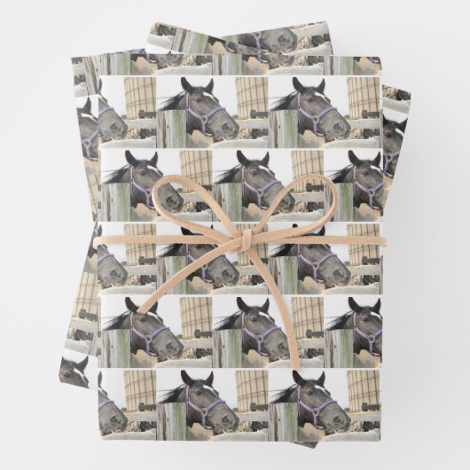 Niedliches Pferdekauen auf einem Zaun Geschenkpapier Set (Beispiel)