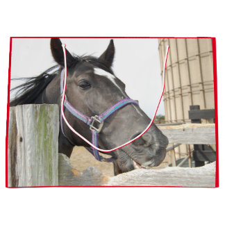 Niedliches Pferdekauen auf einem Zaun Große Geschenktüte
