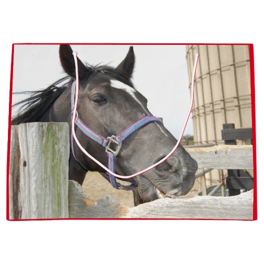 Niedliches Pferdekauen auf einem Zaun Große Geschenktüte (Vorderseite)