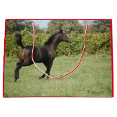 Niedliches Pferdekauen auf einem Zaun Große Geschenktüte (Vorderseite)