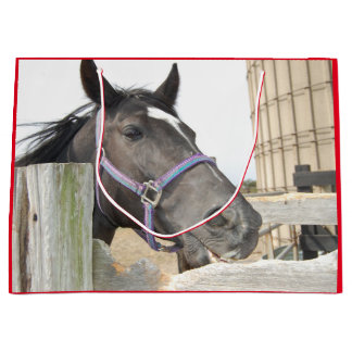 Niedliches Pferdekauen auf einem Zaun Große Geschenktüte